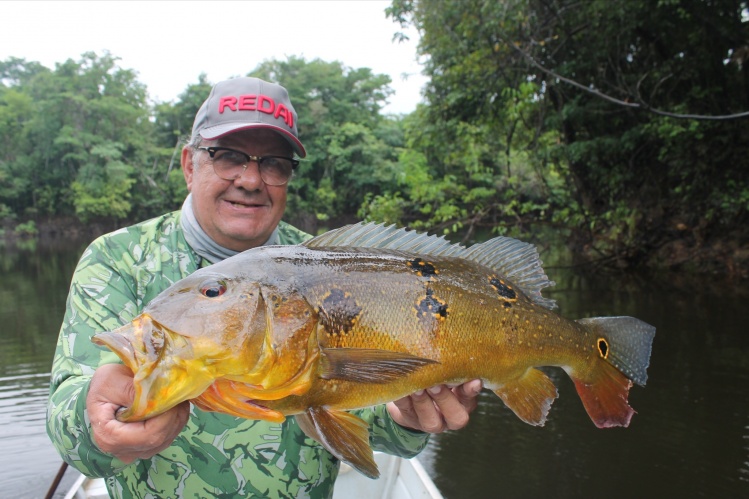 6 Kg Açú -pinima caught at Tapajós river, Amazon Brazil