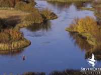 Graham Mackenzie casts to a rising Silver Creek trout. Terry Ring photo 