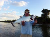 Nice sized Payara