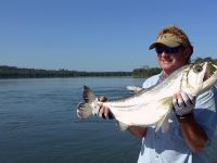 Another nice sized Payara