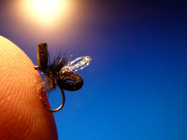 Fly-tying for Rainbow trout - Picture shared by Carlos Estrada – Fly dreamers