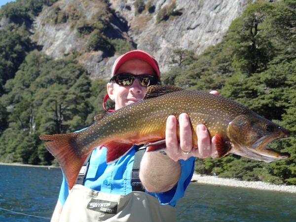 Andes Drifters 's Fly-fishing Pic of a Brook trout – Fly dreamers 