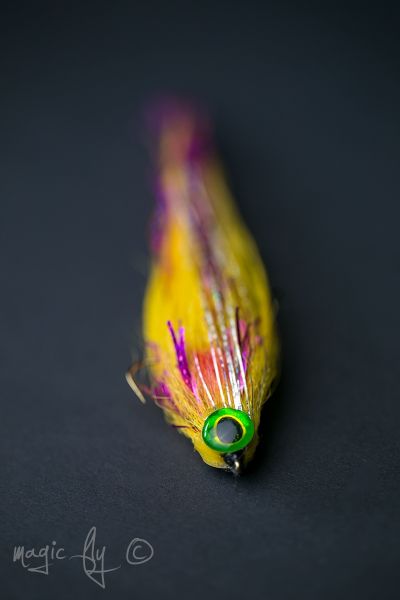 Paul Fiedorczuk 's Fly-tying for Pike - Picture – Fly dreamers 