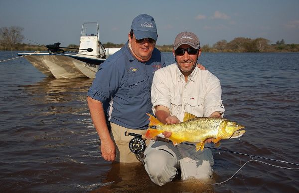 Golden Dorado Fly-fishing Situation – Martin Tagliabue shared this () Image in Fly dreamers 