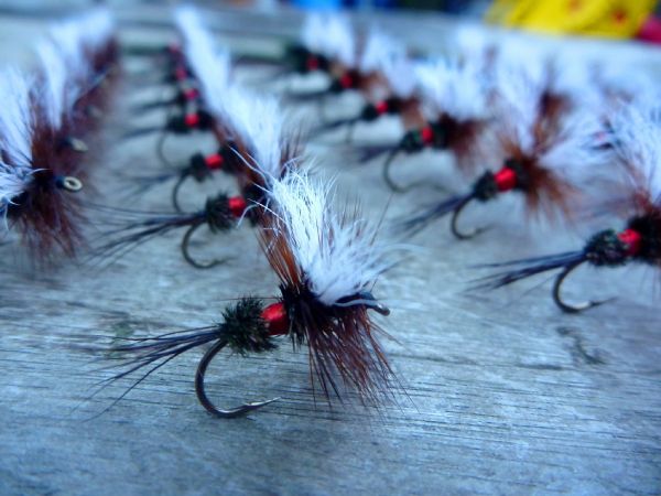 Miguel Angel Marino 's Sweet Fly-tying Pic – Fly dreamers 