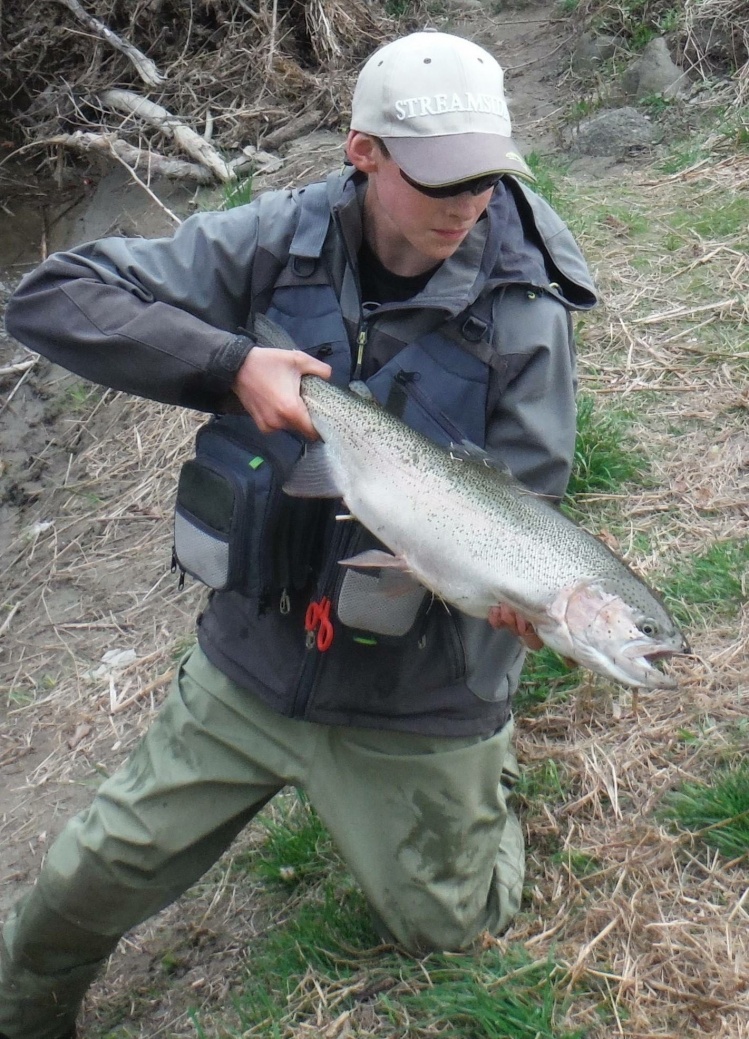 Here's a steelhead with a story: my dad caught this fish fall 2014, I caught it again a week later in the same pool, then I caught it on the fly spring 2015! It has a broken fin and a scar on its left cheek, that's I I knew, and the third time it was caug