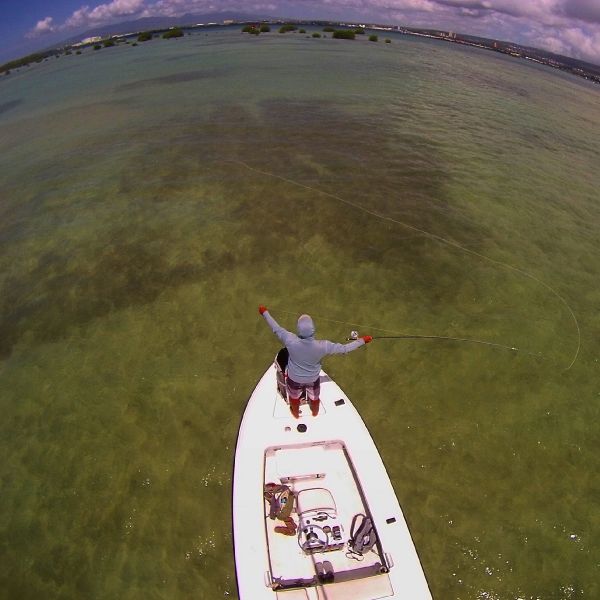 Fly-fishing Situation of Bonefish shared by Jesse Cheape 