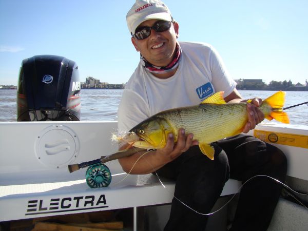 Good Fly-fishing Situation of Golden Dorado shared by Pablo Costa Gonta 