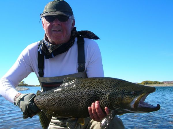 Andes Drifters 's Fly-fishing Image of a Brown trout – Fly dreamers 