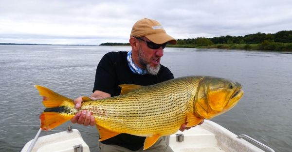 Andes Drifters 's Fly-fishing Pic of a Golden Dorado – Fly dreamers 