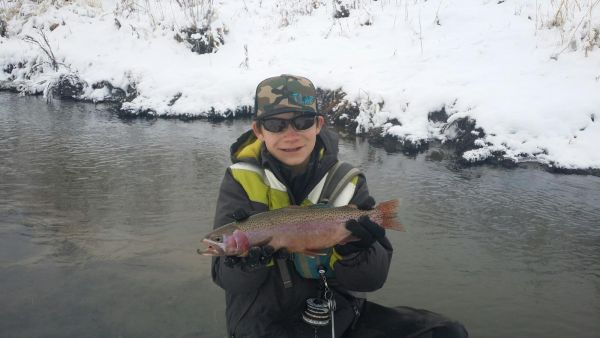 Luke Alder 's Fly-fishing Pic of a Rainbow trout – Fly dreamers 