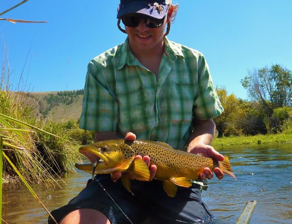 Fly-fishing Pic of Brown trout shared by Jared Martin – Fly dreamers 