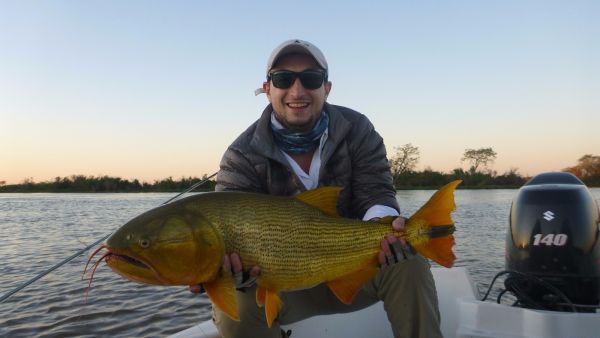 David Allasia 's Fly-fishing Catch of a Golden Dorado – Fly dreamers 
