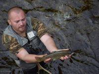 Fly fishing picture