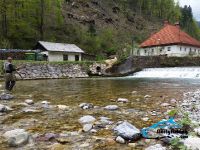 Fly fishing picture