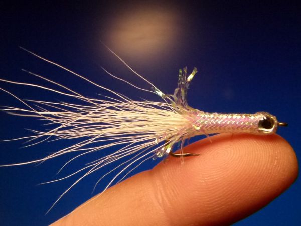 Fly for Rainbow trout - Picture by Carlos Estrada – Fly dreamers 