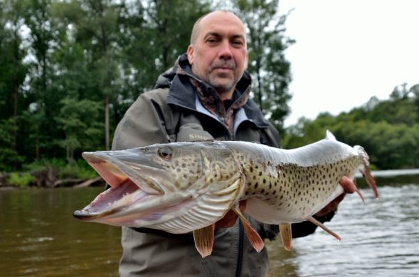 Fly-fishing Picture of Pike shared by Rafal Slowikowski – Fly dreamers