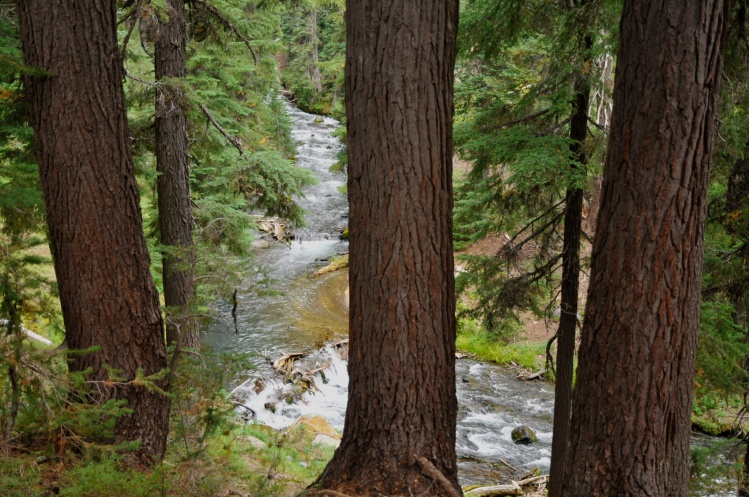 Fall Creek, Oregon