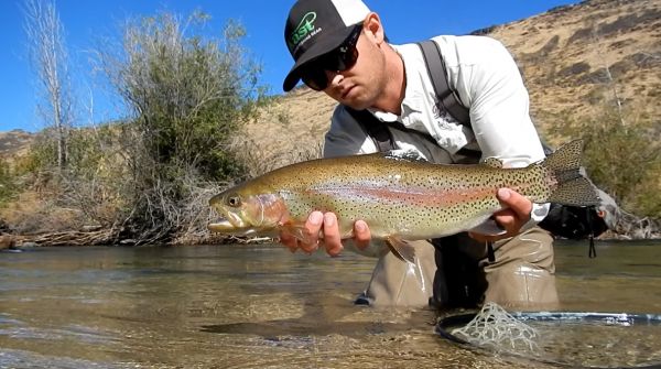 Robby Gaworski 's Fly-fishing Pic of a Rainbow trout – Fly dreamers 