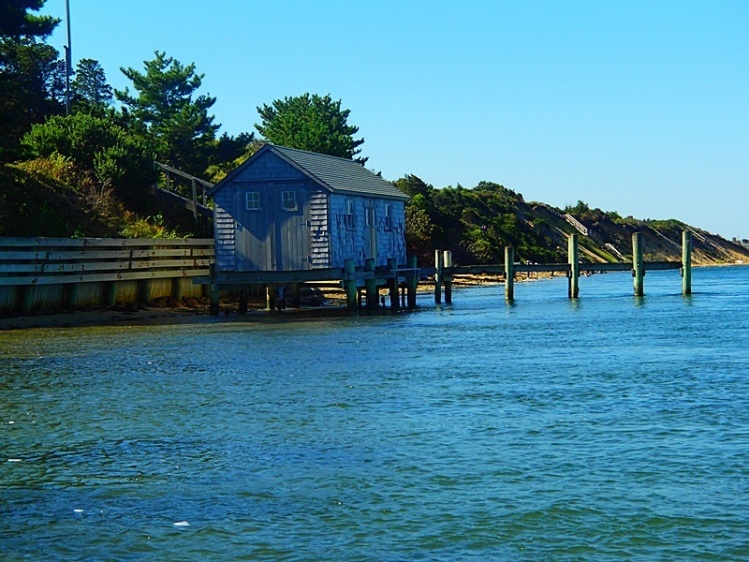 Albie Alley on Martha's Vineyard, a great place to catch false albacore from shore.