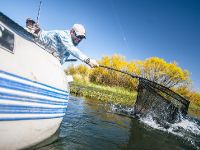 Foto de pesca con mosca