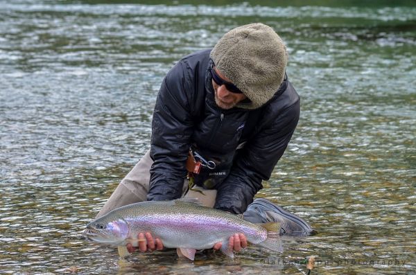 Fly-fishing Pic of Rainbow trout shared by Alex Habibeh – Fly dreamers 
