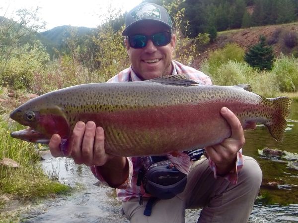 Fly-fishing Image of Rainbow trout shared by Eric Stollar – Fly dreamers