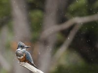 Foto de pesca con mosca