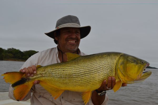 Golden Dorado Fly-fishing Situation – Fabian Rubano shared this Interesting Image in Fly dreamers 
