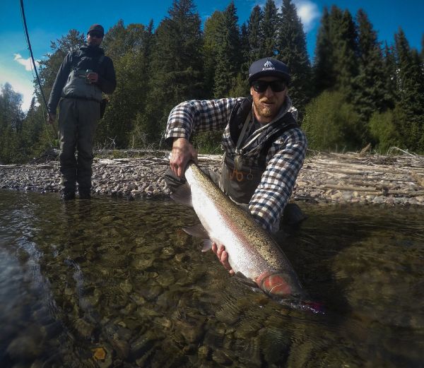 Andrew Hardingham 's Fly-fishing Pic of a Steelhead | Fly dreamers 