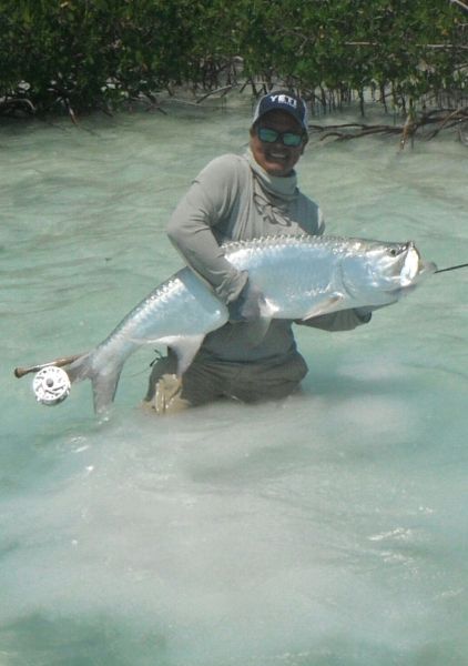 Fly-fishing Image of Tarpon shared by Michael Biggins – Fly dreamers