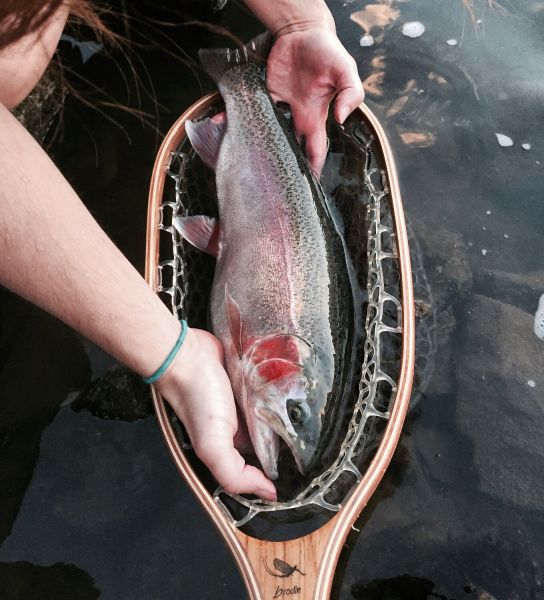 Jake Gertsch 's Fly-fishing Photo of a Rainbow trout – Fly dreamers 