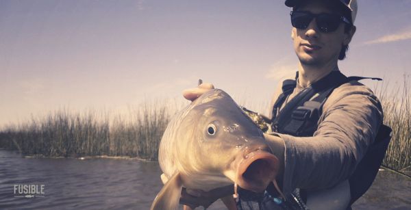 Interesting Carp C&R by Leandro Ferreyra in (Place ) - Fly dreamers 
