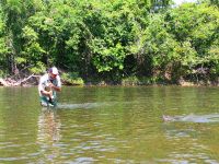 Fishing for Barred Sorubin