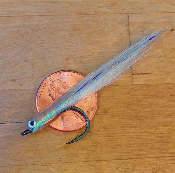 Fly-tying for False Albacore - Little Tunny - Picture by Jason Taylor 