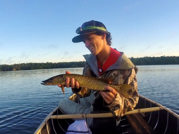 Fly-fishing Photo of Pike shared by Daniel Macalady – Fly dreamers 