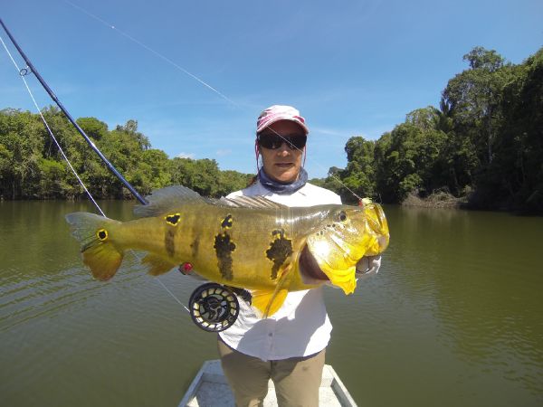 Dagmar Cunha 's Fly-fishing Pic of a Peacock Bass – Fly dreamers 