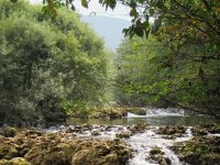 Fly fishing picture