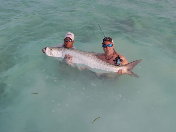Fly-fishing Pic of Tarpon shared by Alejandro Plaza – Fly dreamers 