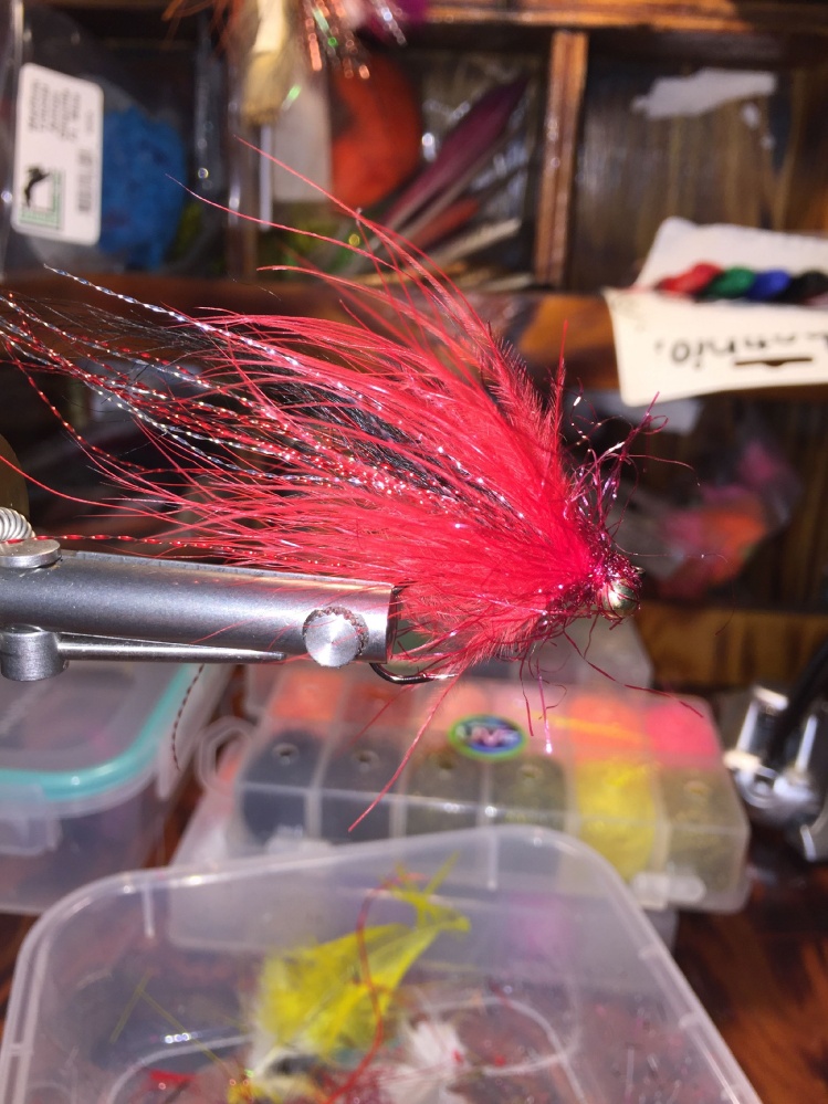 Marabou, flash fly. Just started tying different things. I think it looks great and should fish good.