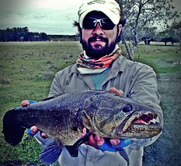 Wolf Fish Fly-fishing Situation – Alejandro Milesi shared this Nice Photo in Fly dreamers 