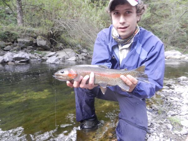 Sweet Fly-fishing Situation of Rainbow trout - Image shared by Javier Peña – Fly dreamers