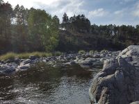 Foto de pesca con mosca