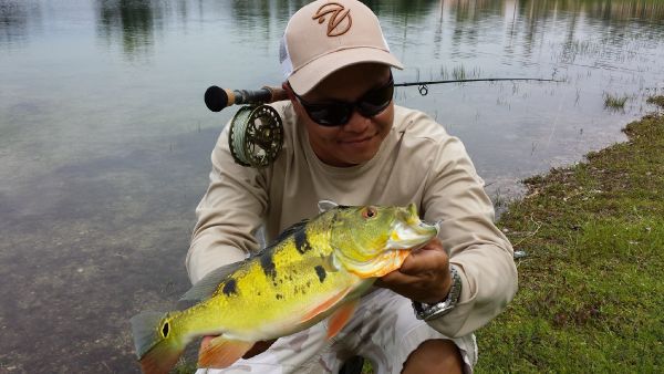 Hai Truong 's Fly-fishing Pic of a Peacock Bass – Fly dreamers 