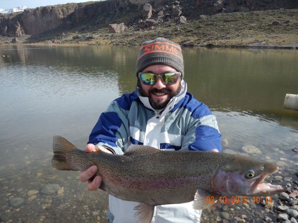 Fly-fishing Situation of Rainbow trout shared by Guillermo Hermoso 