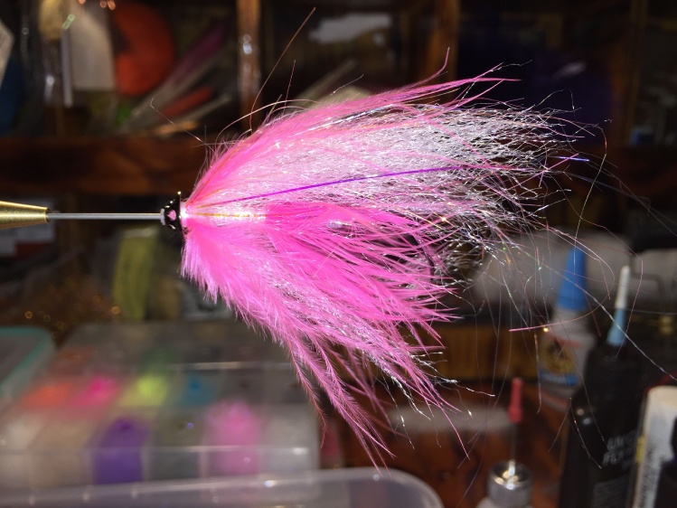 Going fly fishing for Coho tomorrow started tying tube flies.