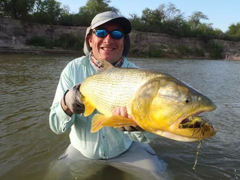 River tiger Fly-fishing Situation – RAUL HORACIO FAILLA shared this Sweet Pic in Fly dreamers 