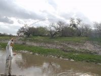 Foto de pesca con mosca