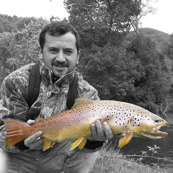 Fly-fishing Pic of Sea-Trout shared by Alejandro Mora – Fly dreamers 