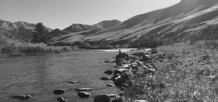 Between the "Narrows" and the mouth of the Grande Ronde.